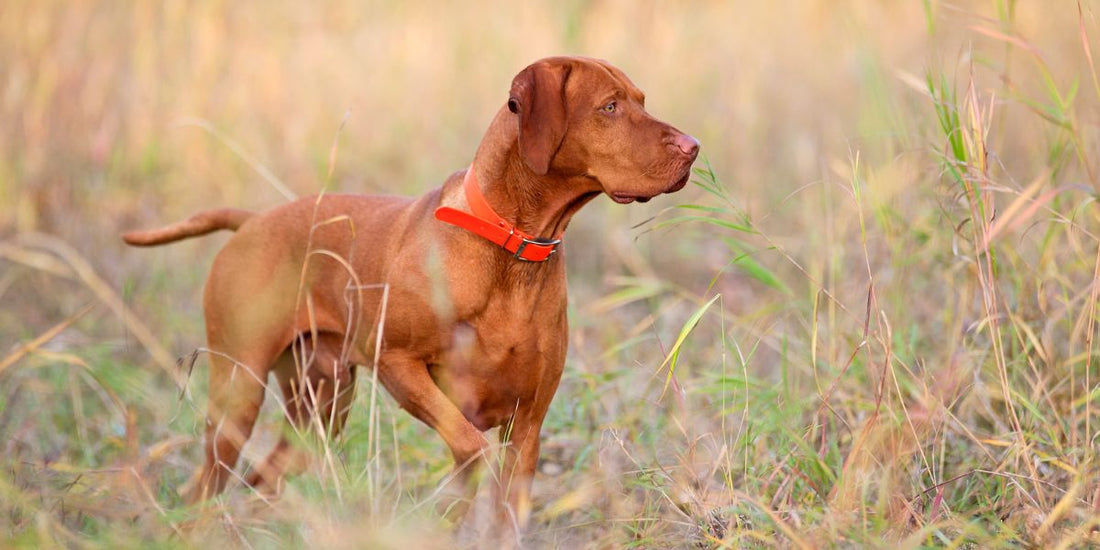 Mitgliederversammlung 2026 | Einladung & Termin